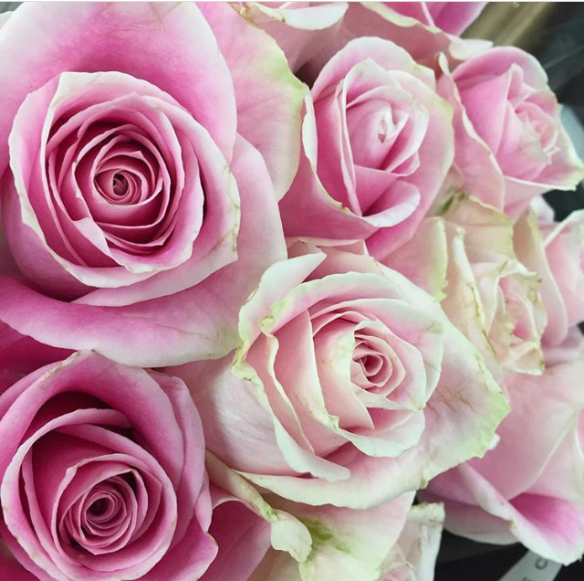 6ae2ac7b-114e-46ed-b6cb-3a0a8b1c3f27