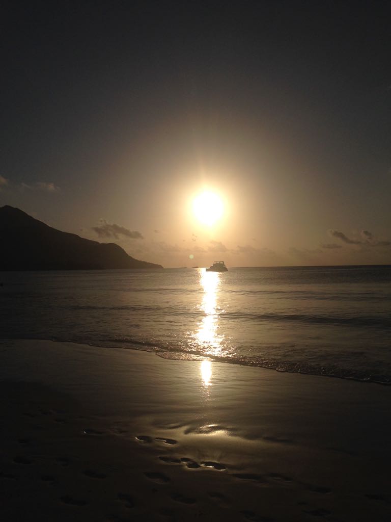 a11c74fe-bb25-483c-b64f-574a0932bab4