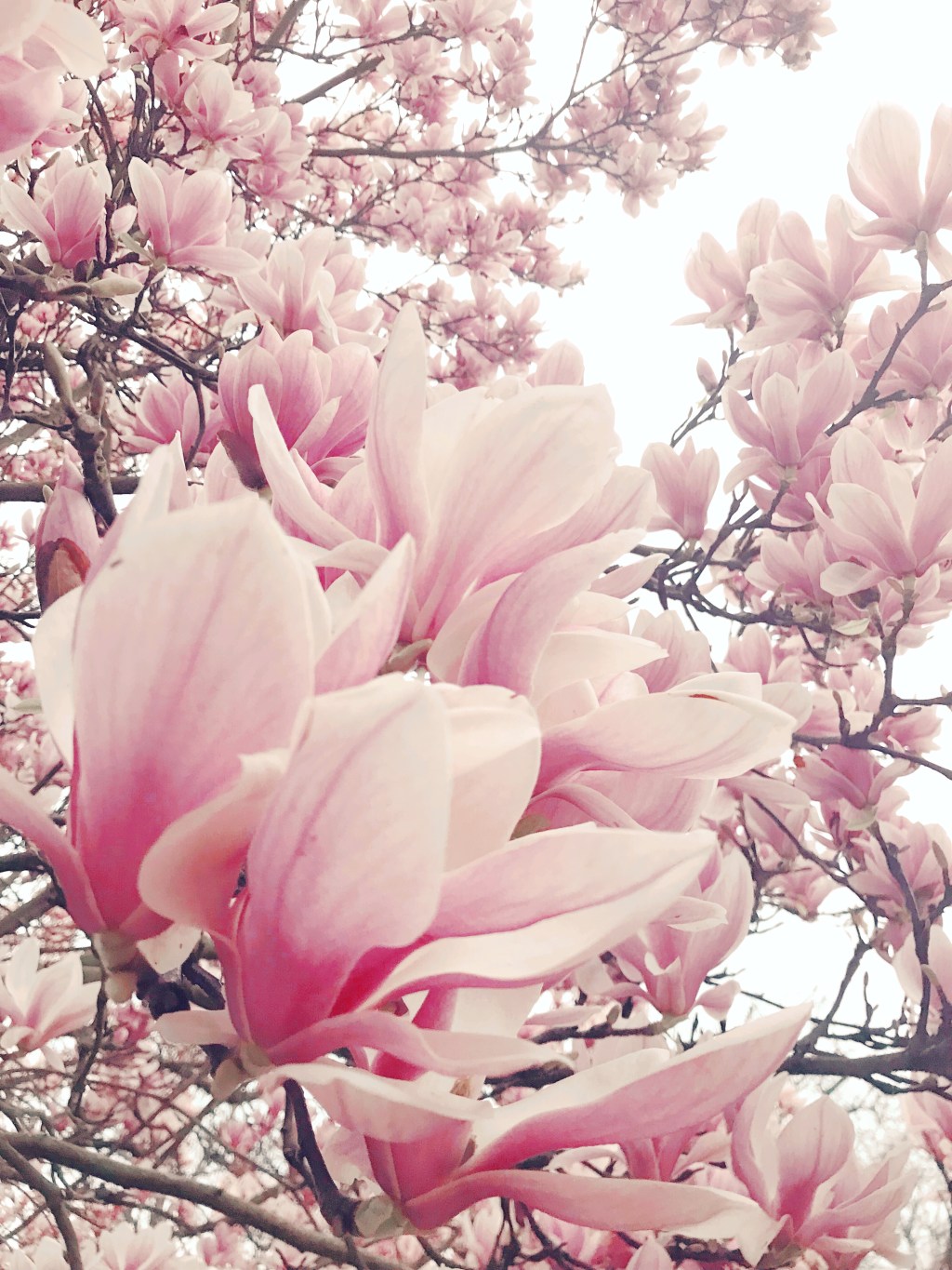 Low energy, no motivation is the couch my new best&nbsp;friend?