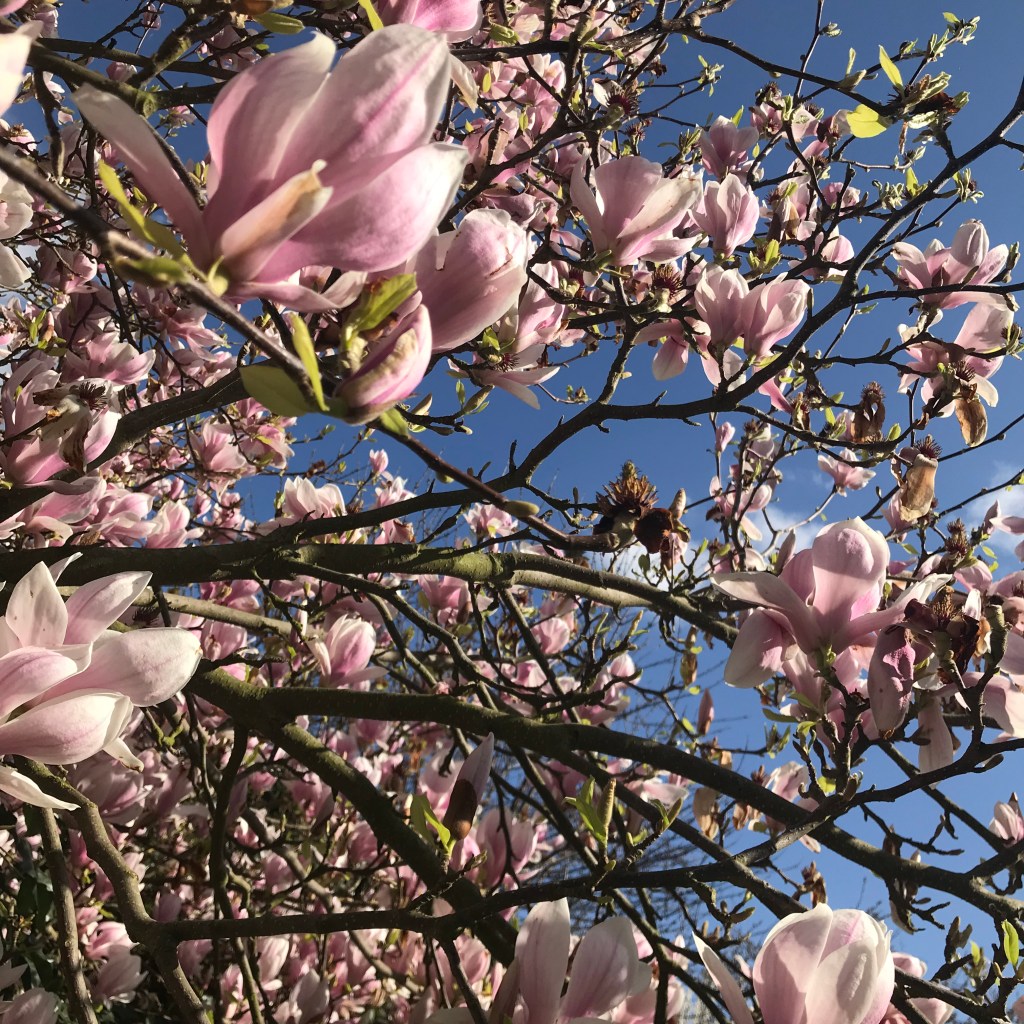 20 Things you probably don’t need to know about&nbsp;me