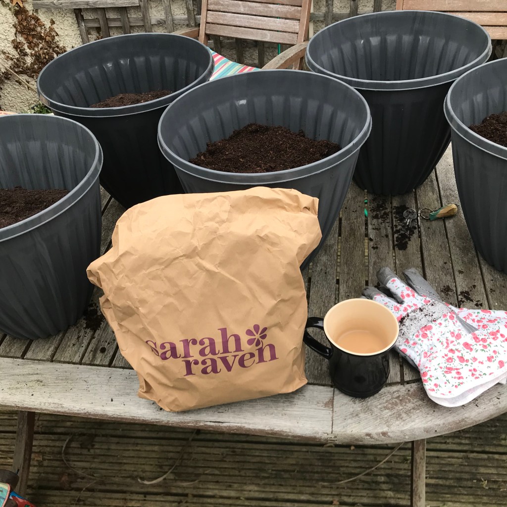 Growing my own bouquet: a budget step too&nbsp;far?