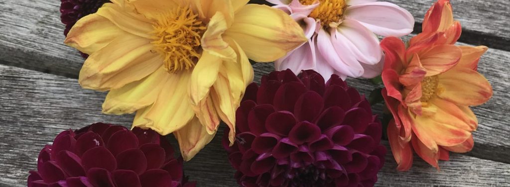 My wedding bouquet and what to do with it&nbsp;afterwards