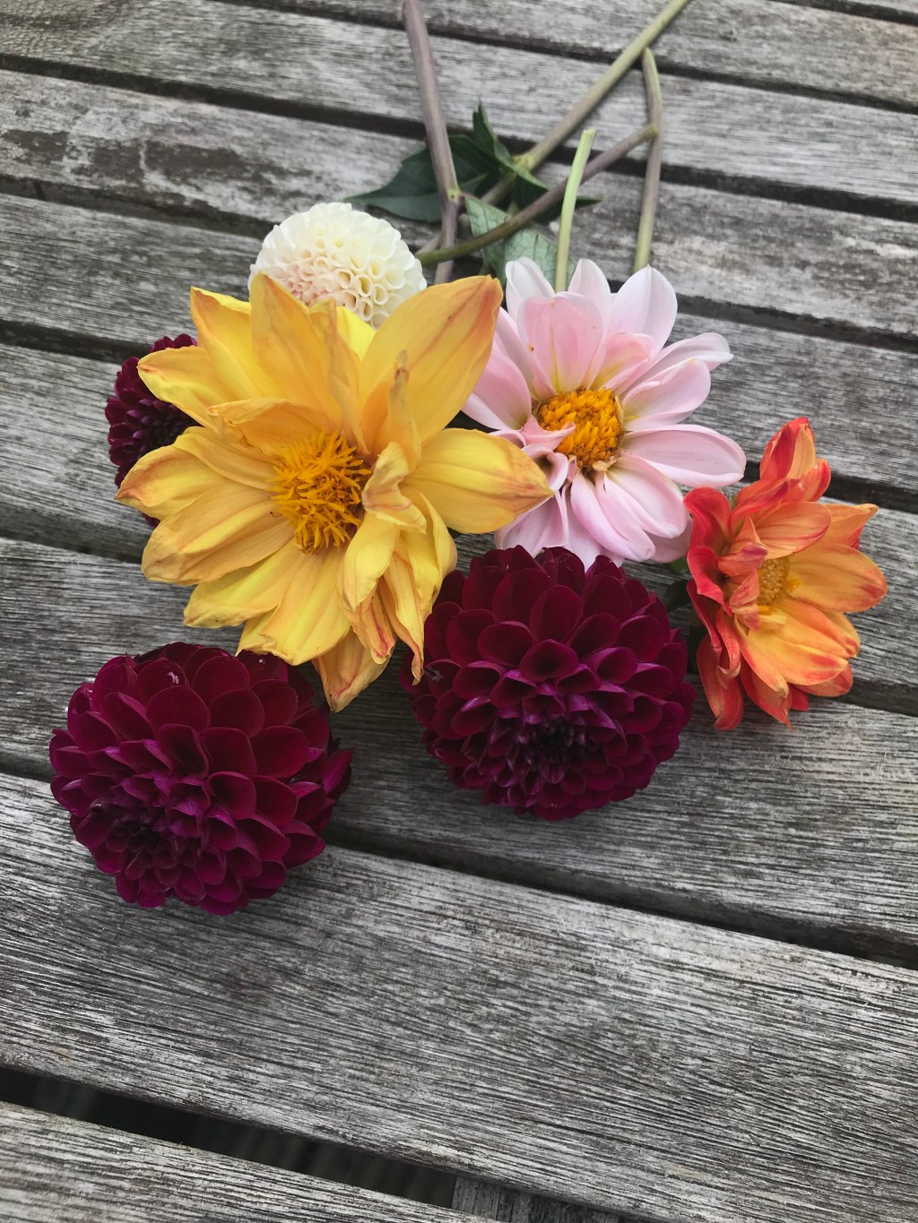Darling Dahlias how does your wedding bouquet&nbsp;grow?