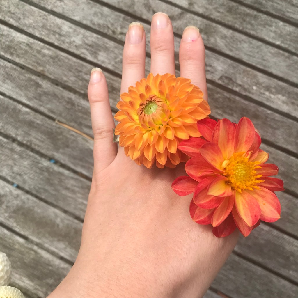 Wedding update: unconventional organisation