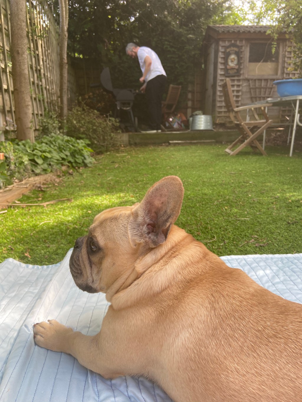 11 Things that lock down has taught&nbsp;me