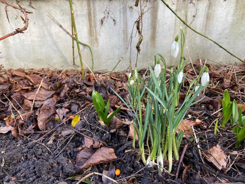 A moment in time:  strength and&nbsp;fragility