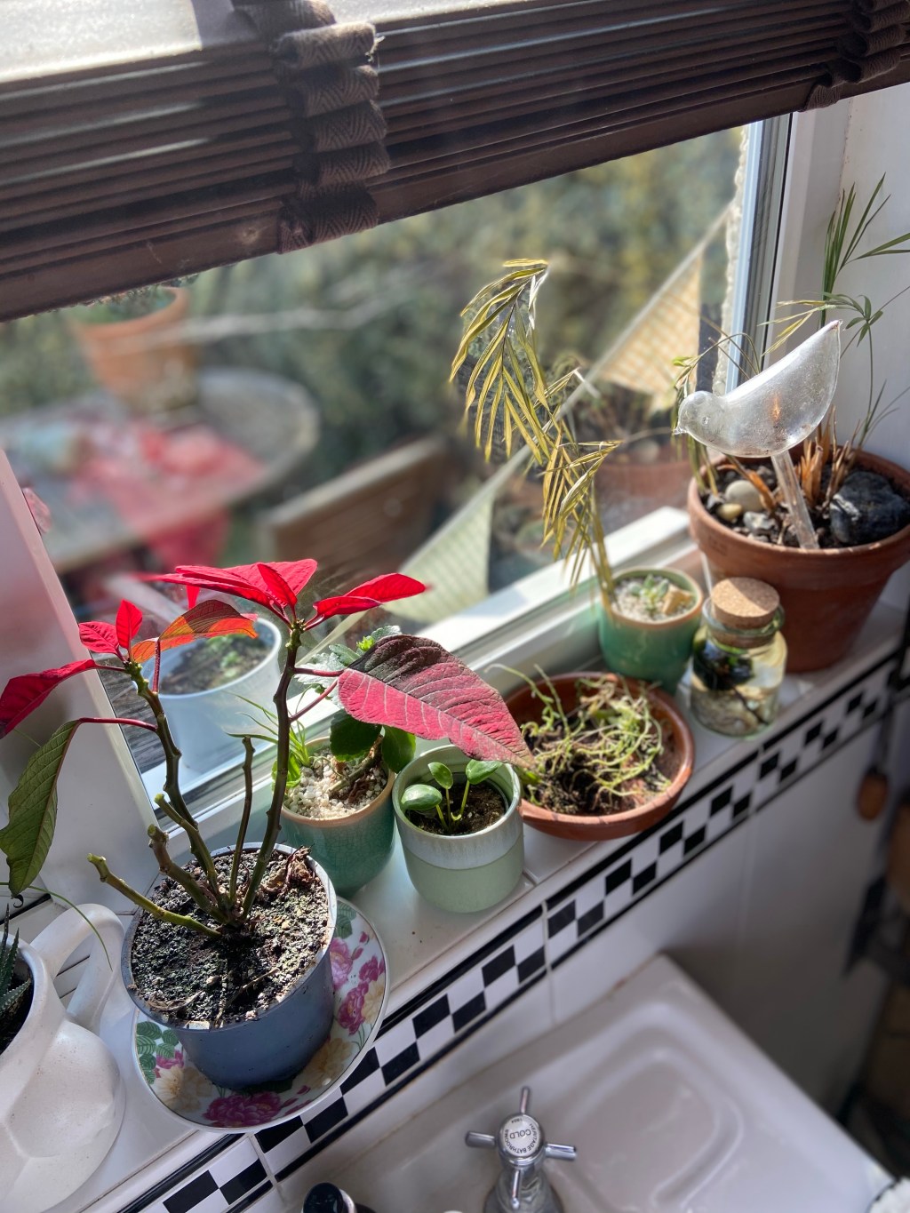 Trying to not over water my plants