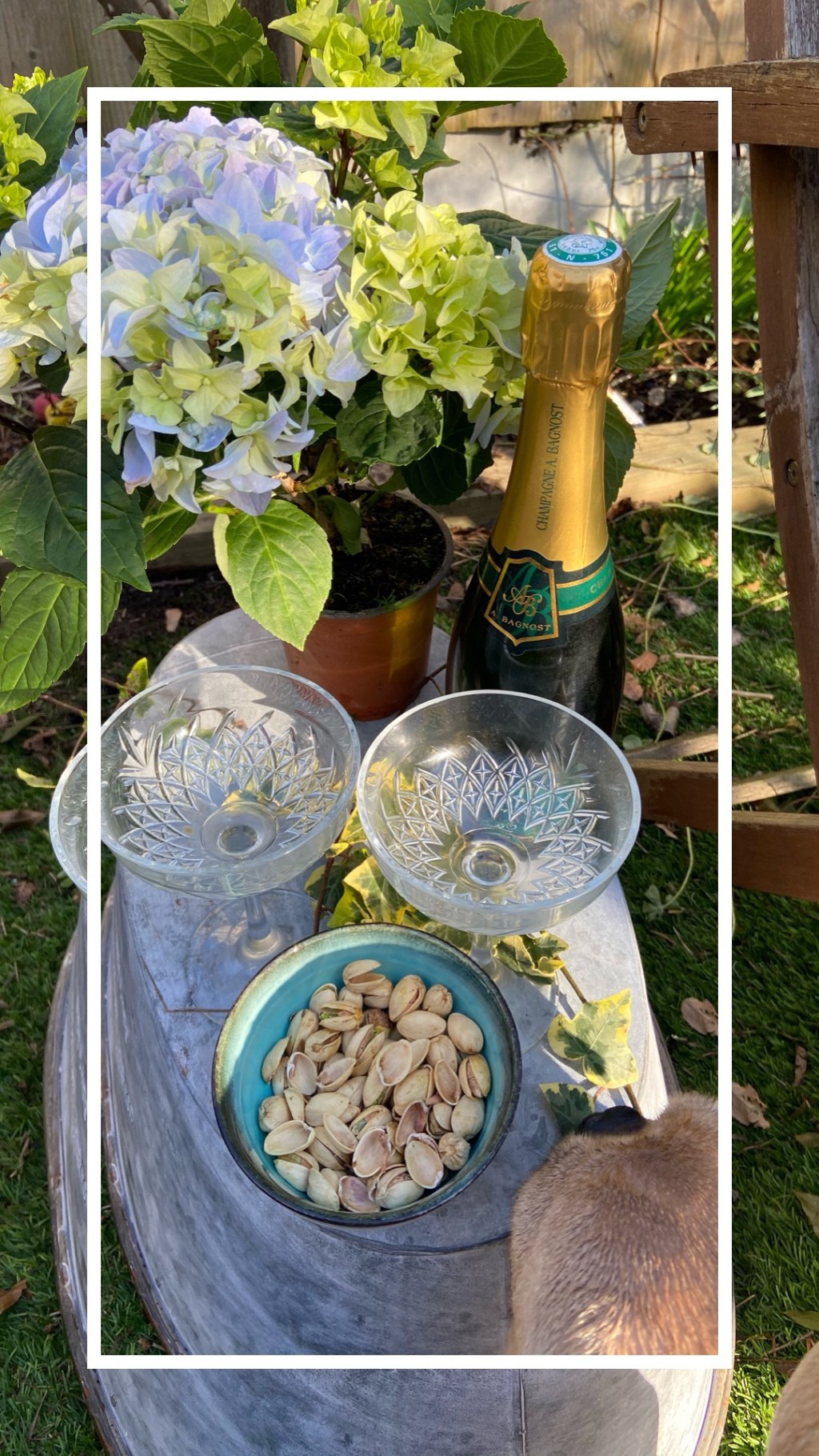 Creating a heritage&nbsp;garden