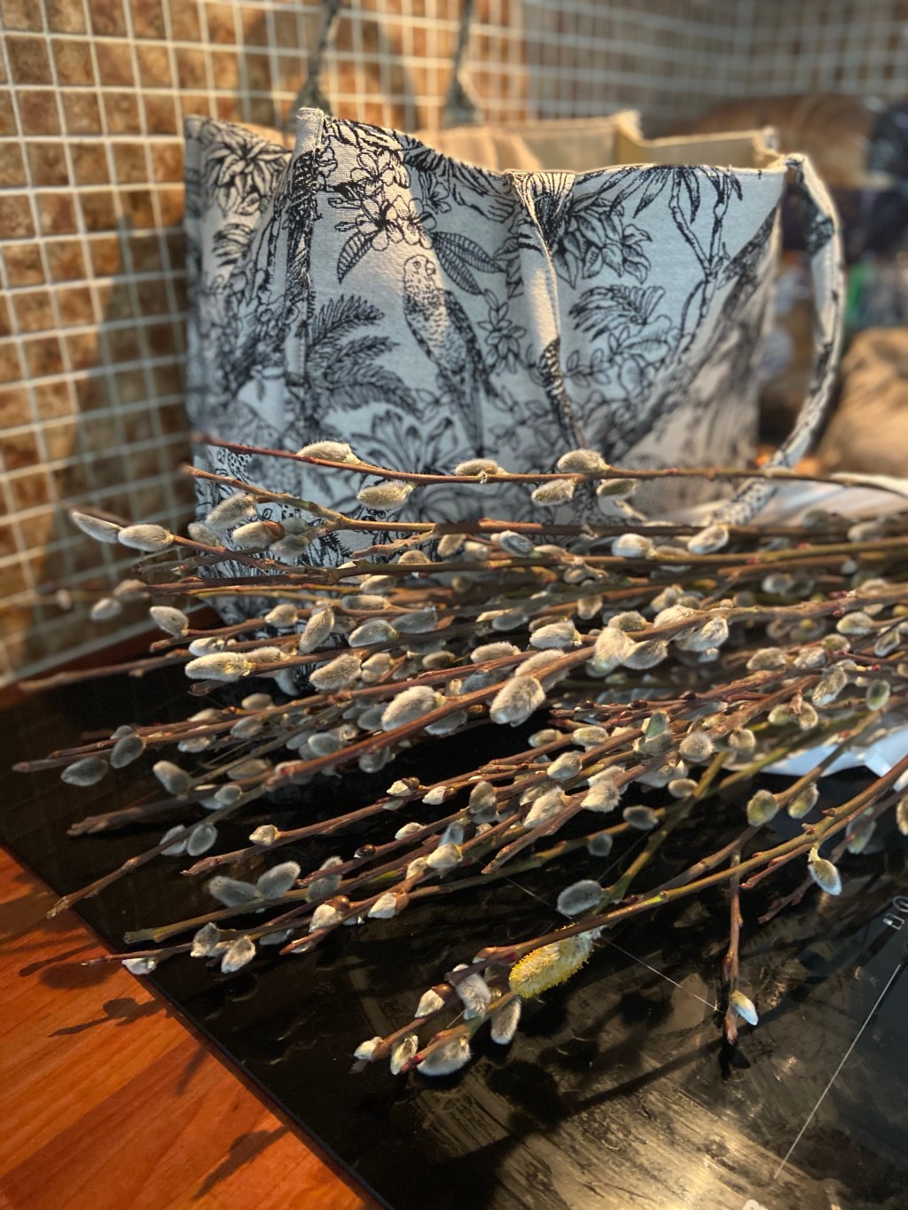 Growing my own Pussywillow&nbsp;trees