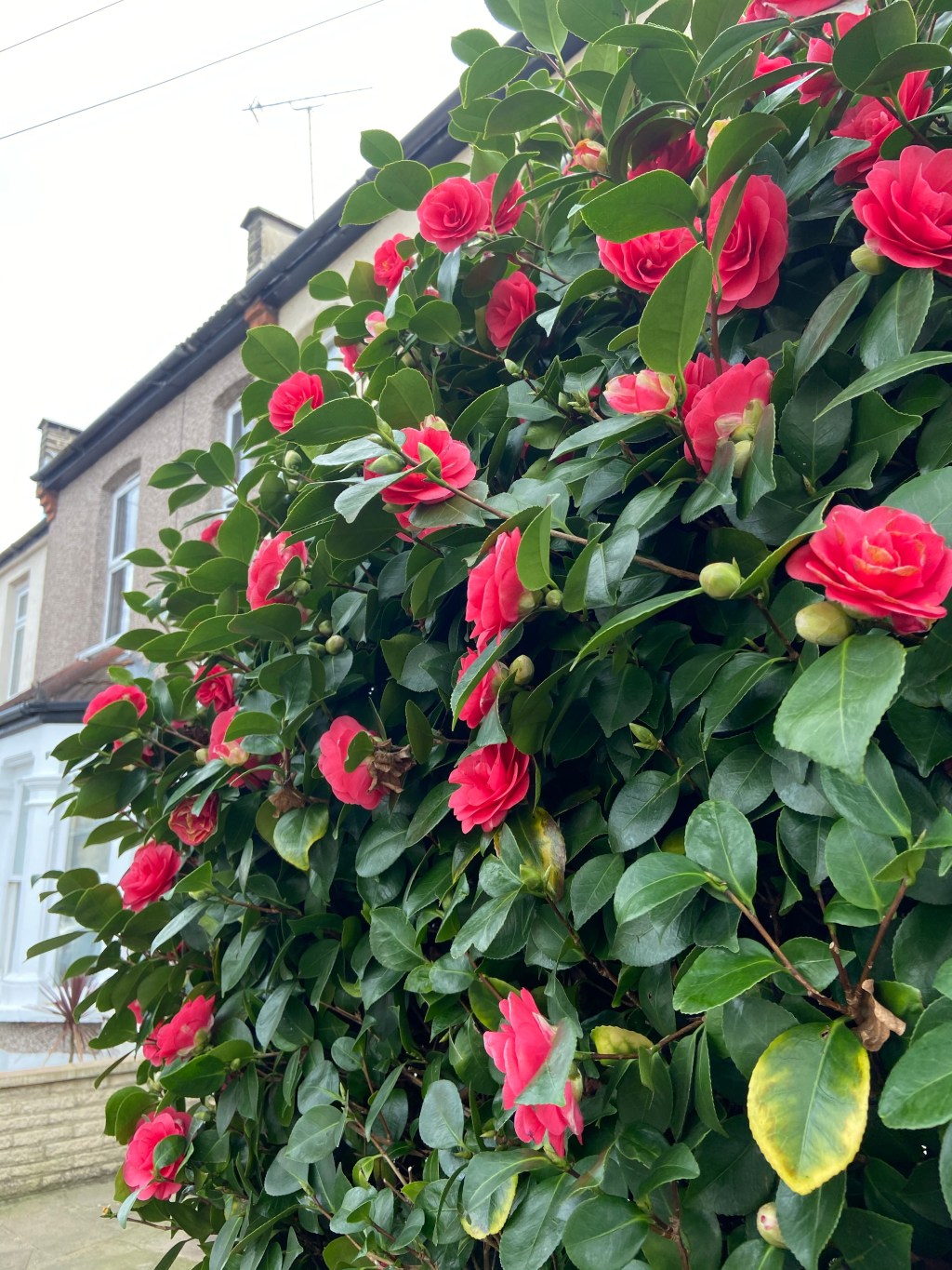 A moment in time:&nbsp;planning