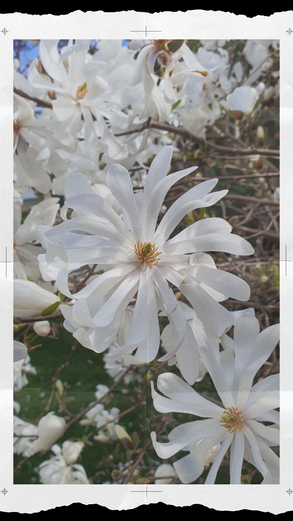 Easter weekend plans: home and garden&nbsp;updates