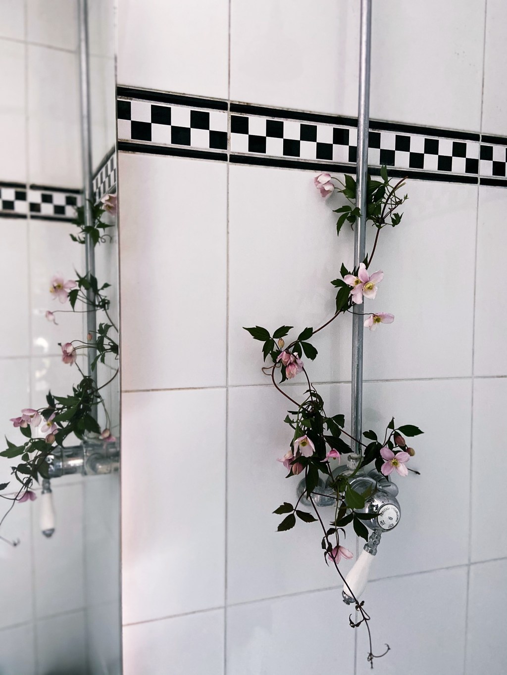 Flower Shower, it’s not all for the&nbsp;gram