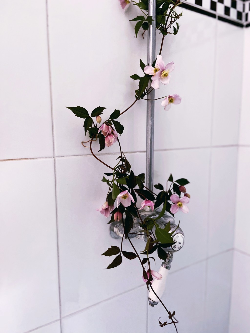 Should I give up the&nbsp;bath?