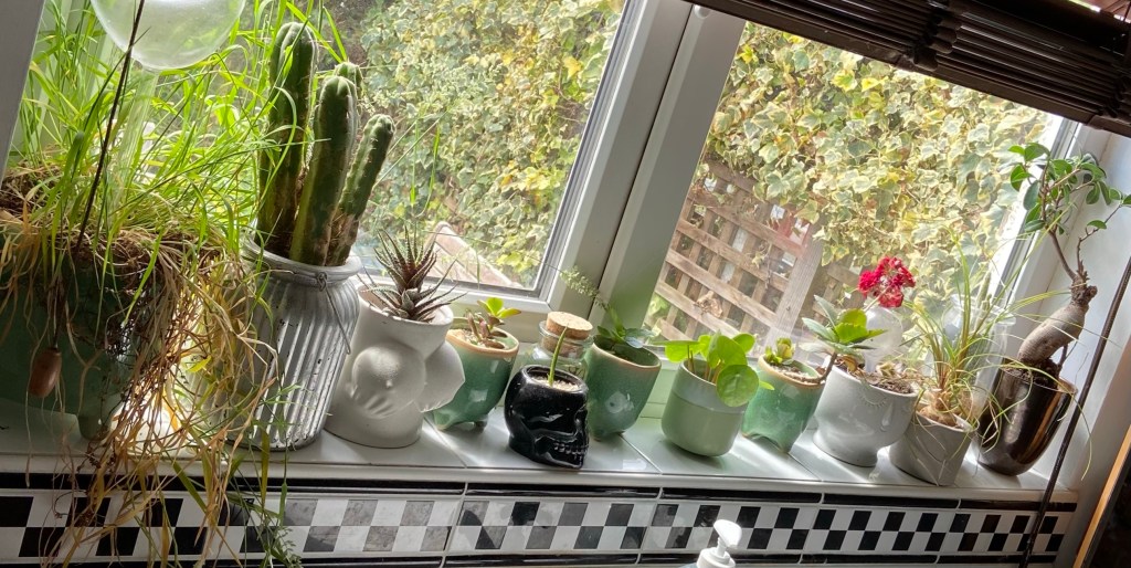 Sunshine through my window: Bathroom&nbsp;light