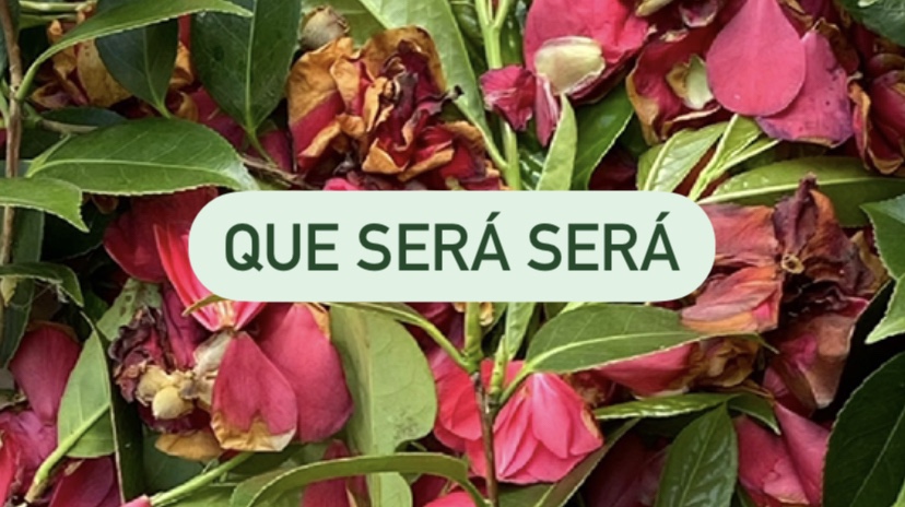 Rethinking my Mindset: currently in a mid&nbsp;place