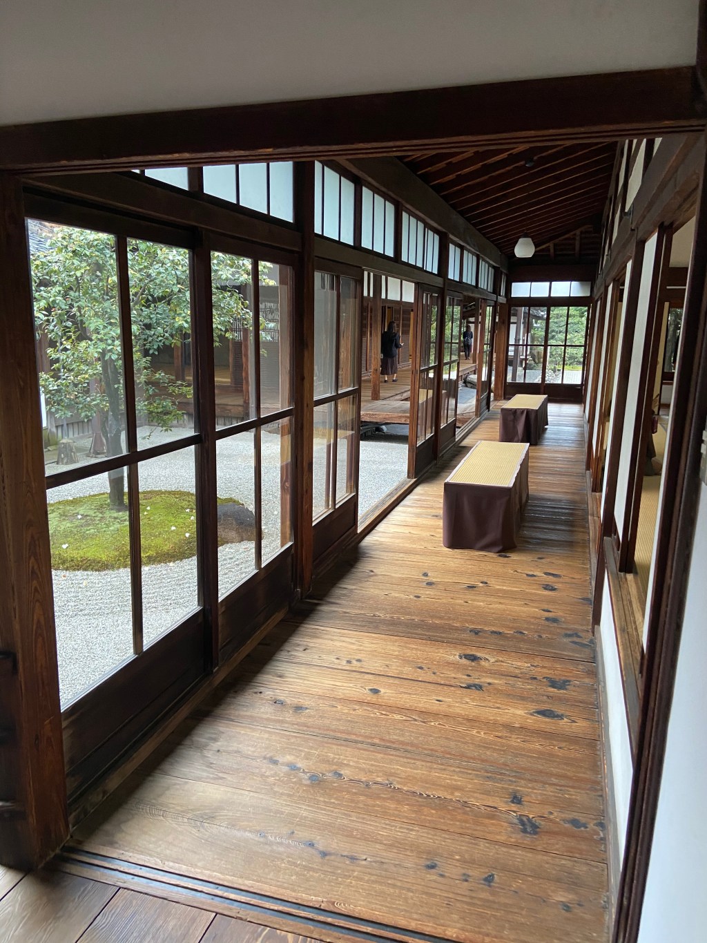 What is biophilic interior design? and how to incorporate it in your&nbsp;home