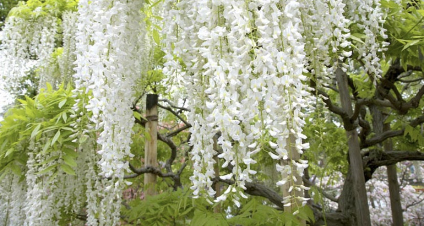 A moment in time: The little wonders in&nbsp;life