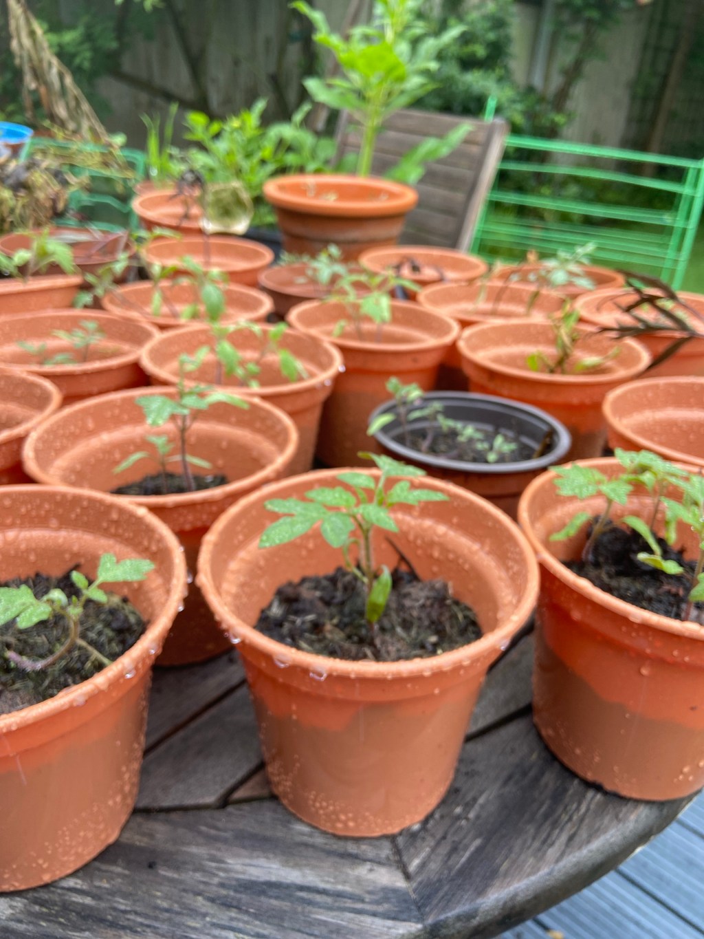 Moment in time: trusting in the&nbsp;process