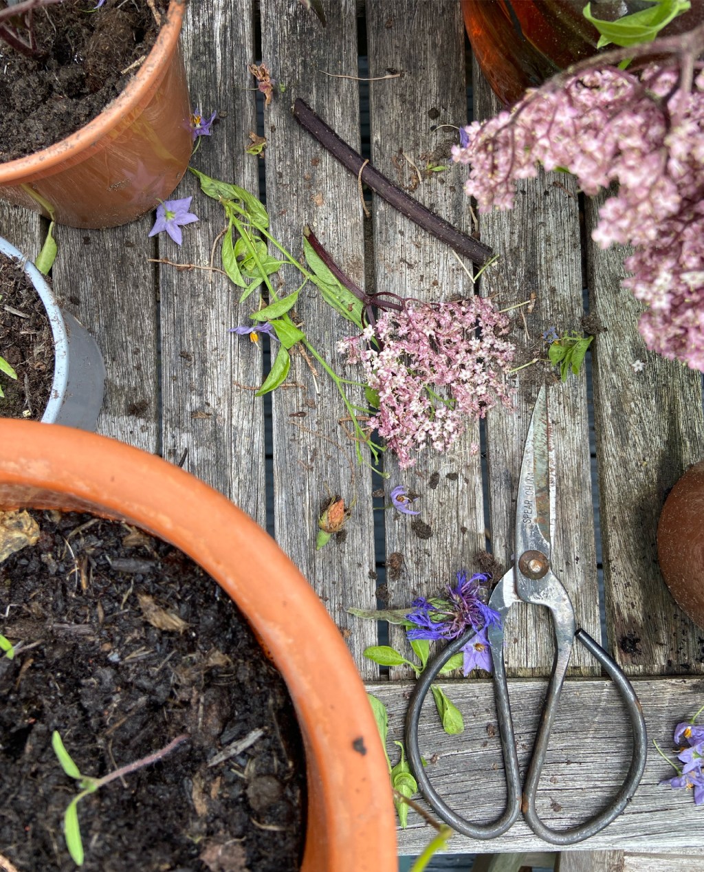 14. Protecting, Painting my decking: sprucing up the&nbsp;garden