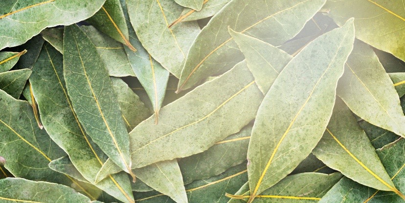 Uncle Toms dried&nbsp;herbs