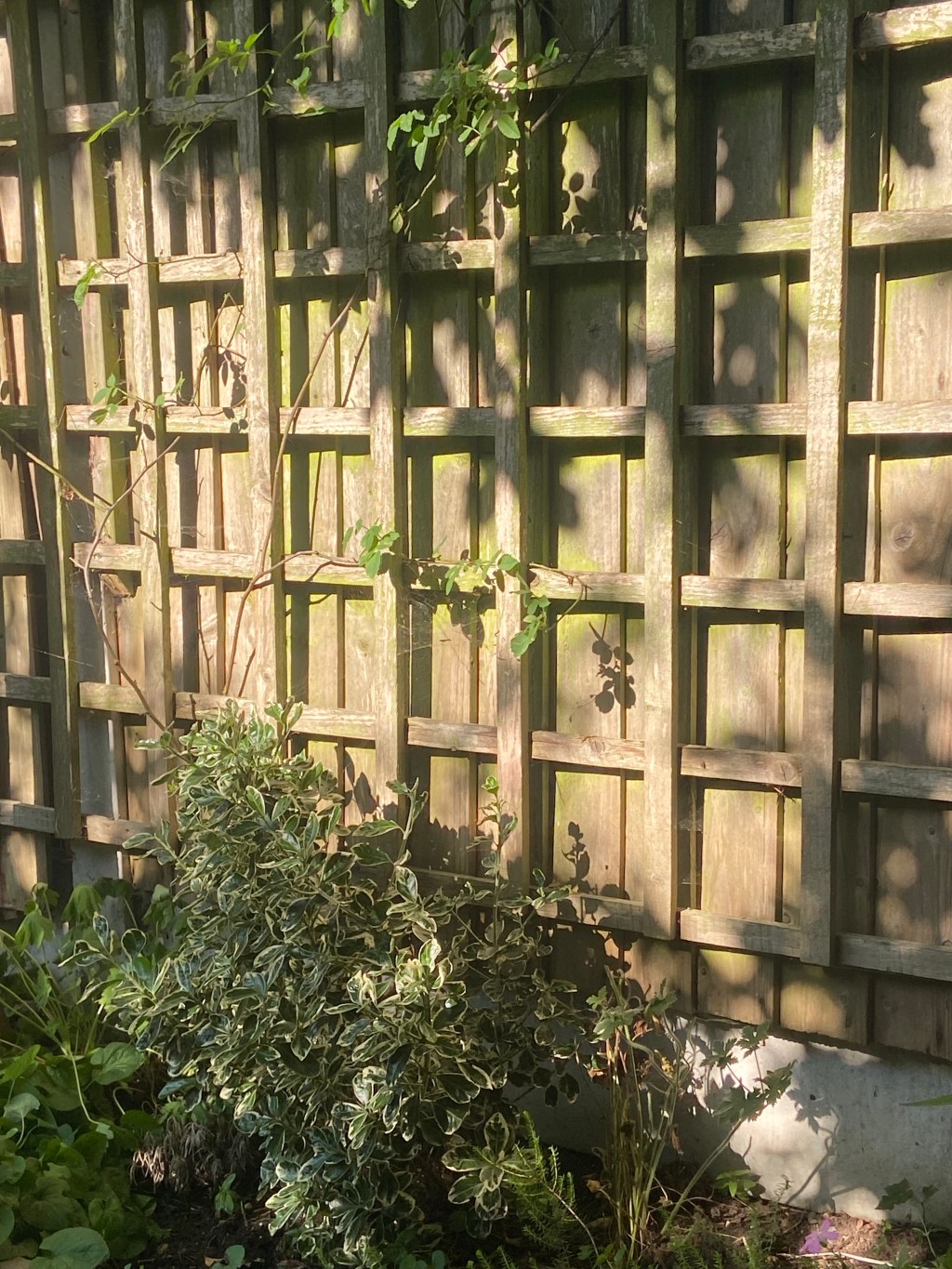 The benefits of biophilic&nbsp;living