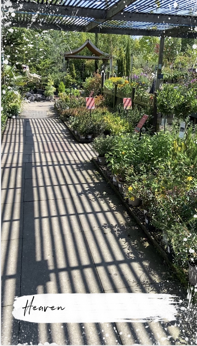 A big day for little legs: plants&nbsp;galore