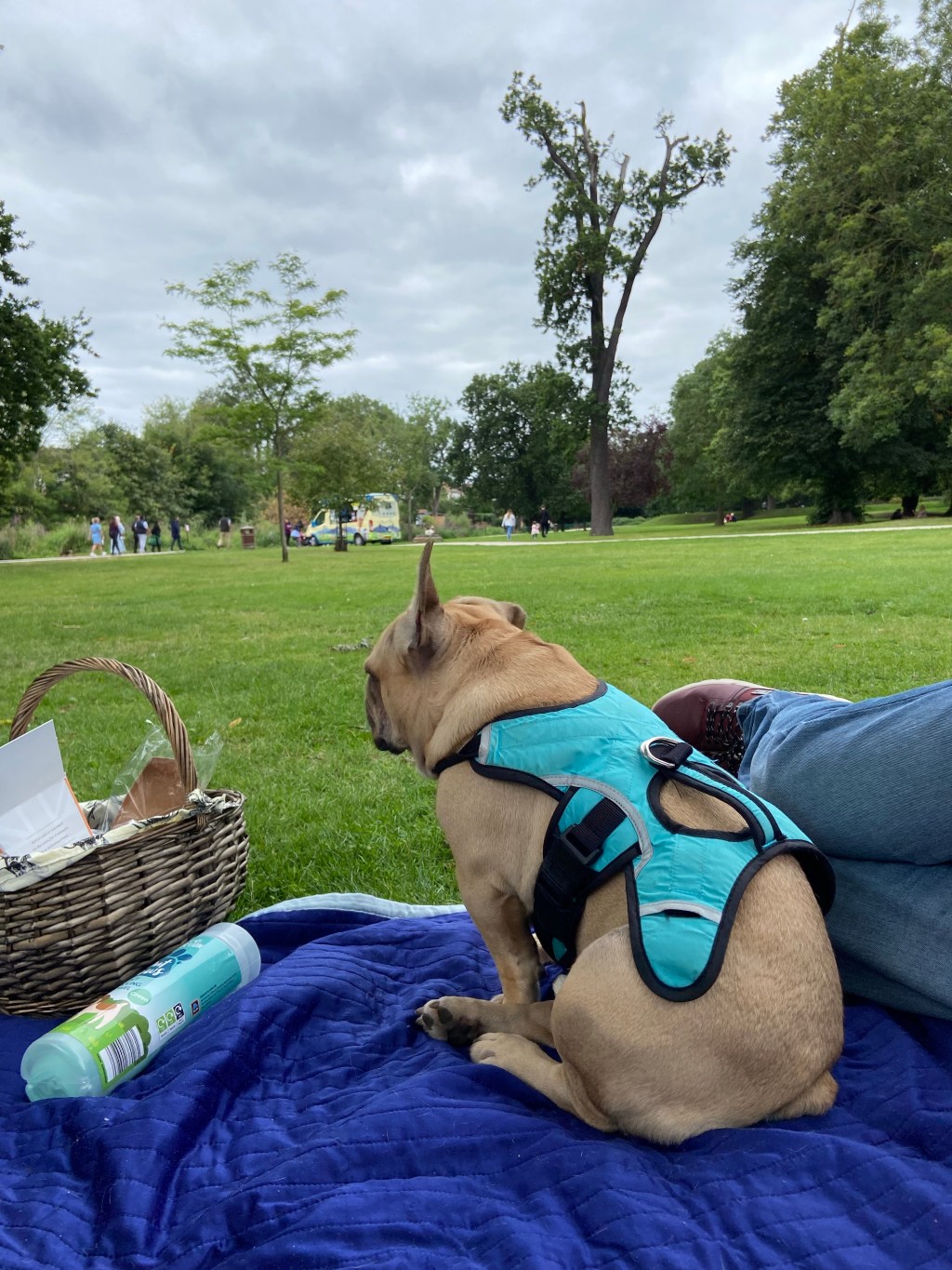 Weekends are for&nbsp;picnics