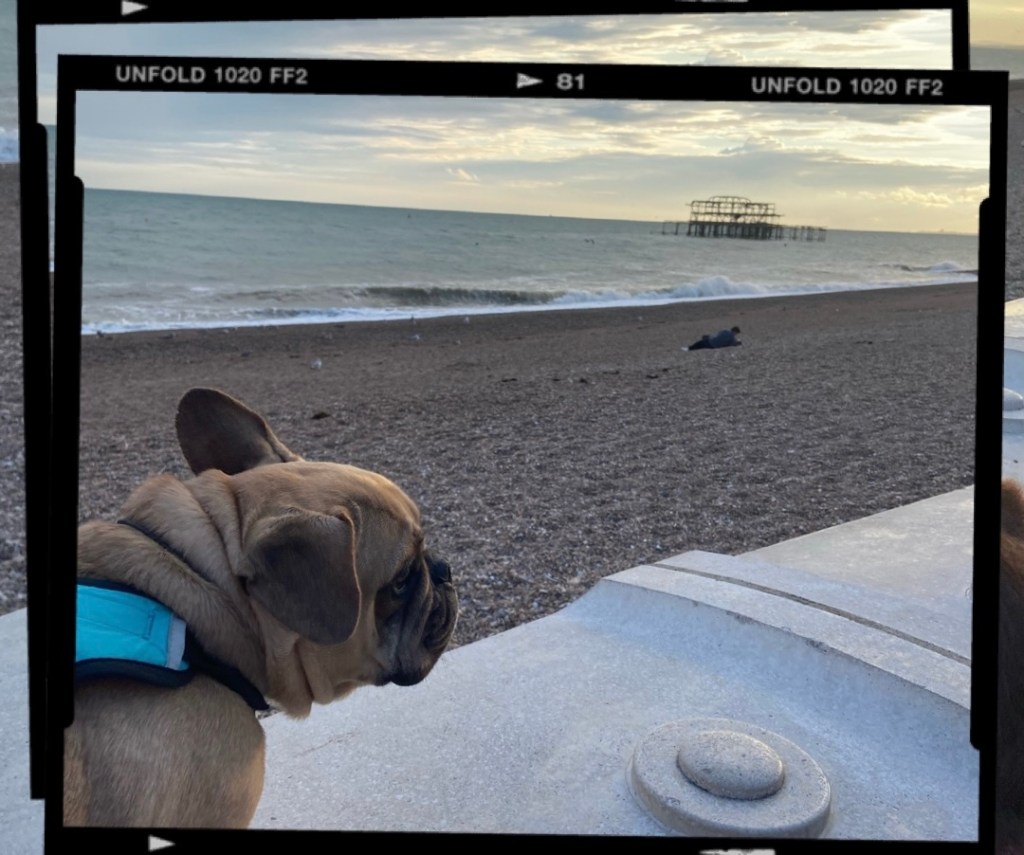 A moment of&nbsp;paradise