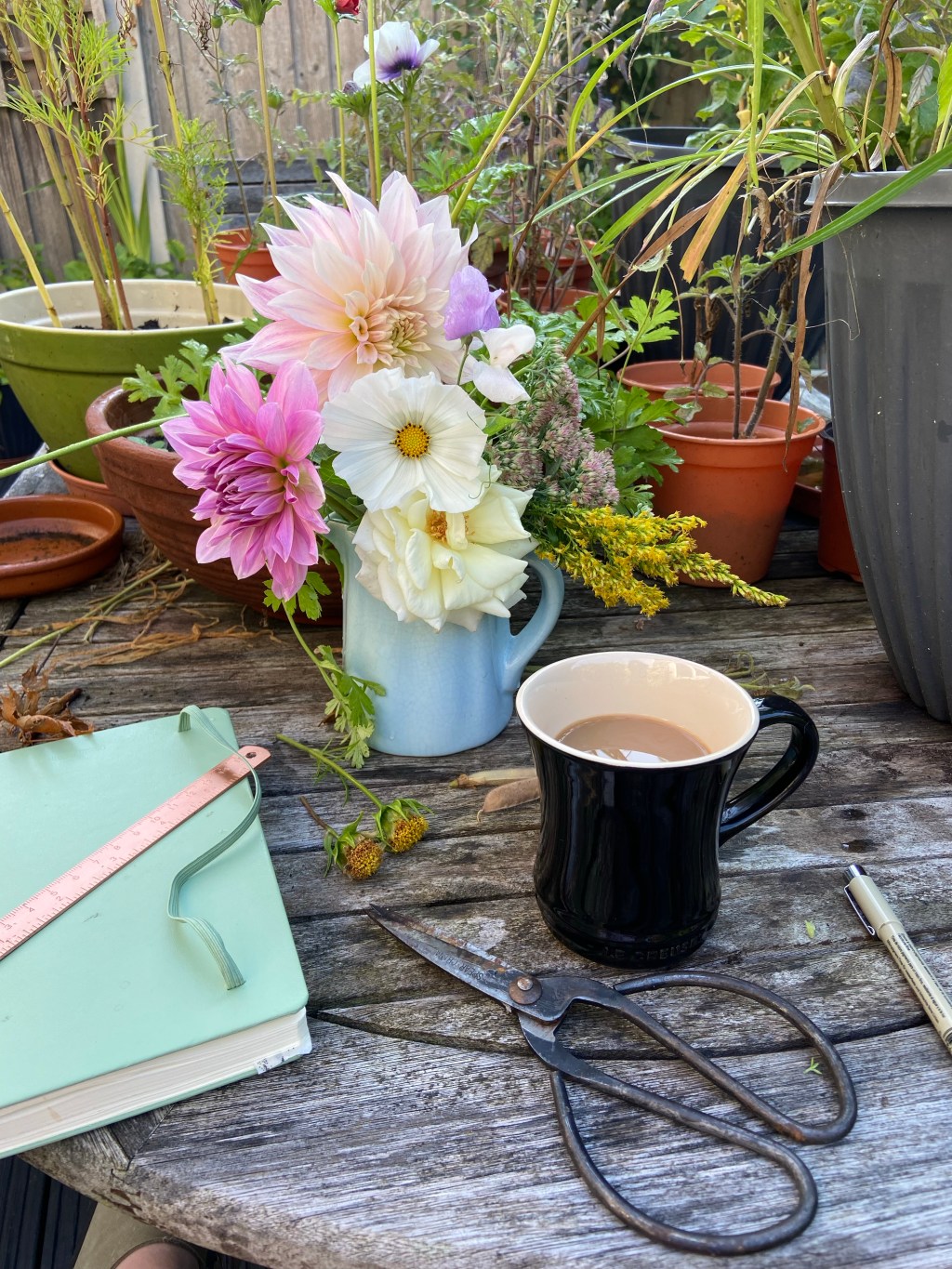 Fruits I am growing in my garden