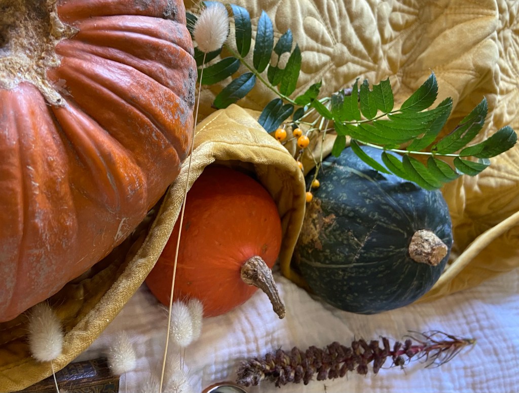 Autumn Daze: walks runs and bringing the outside&nbsp;in