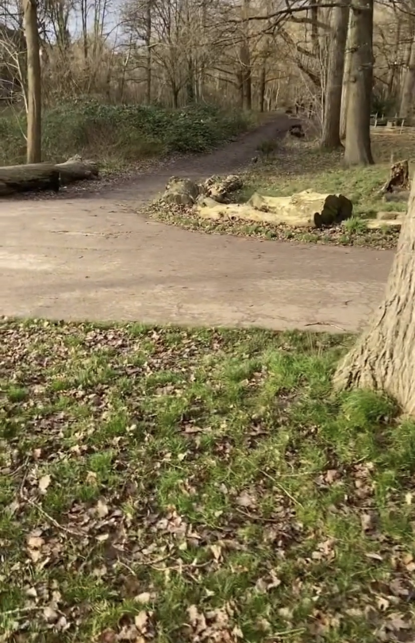 Looks like we made&nbsp;it!