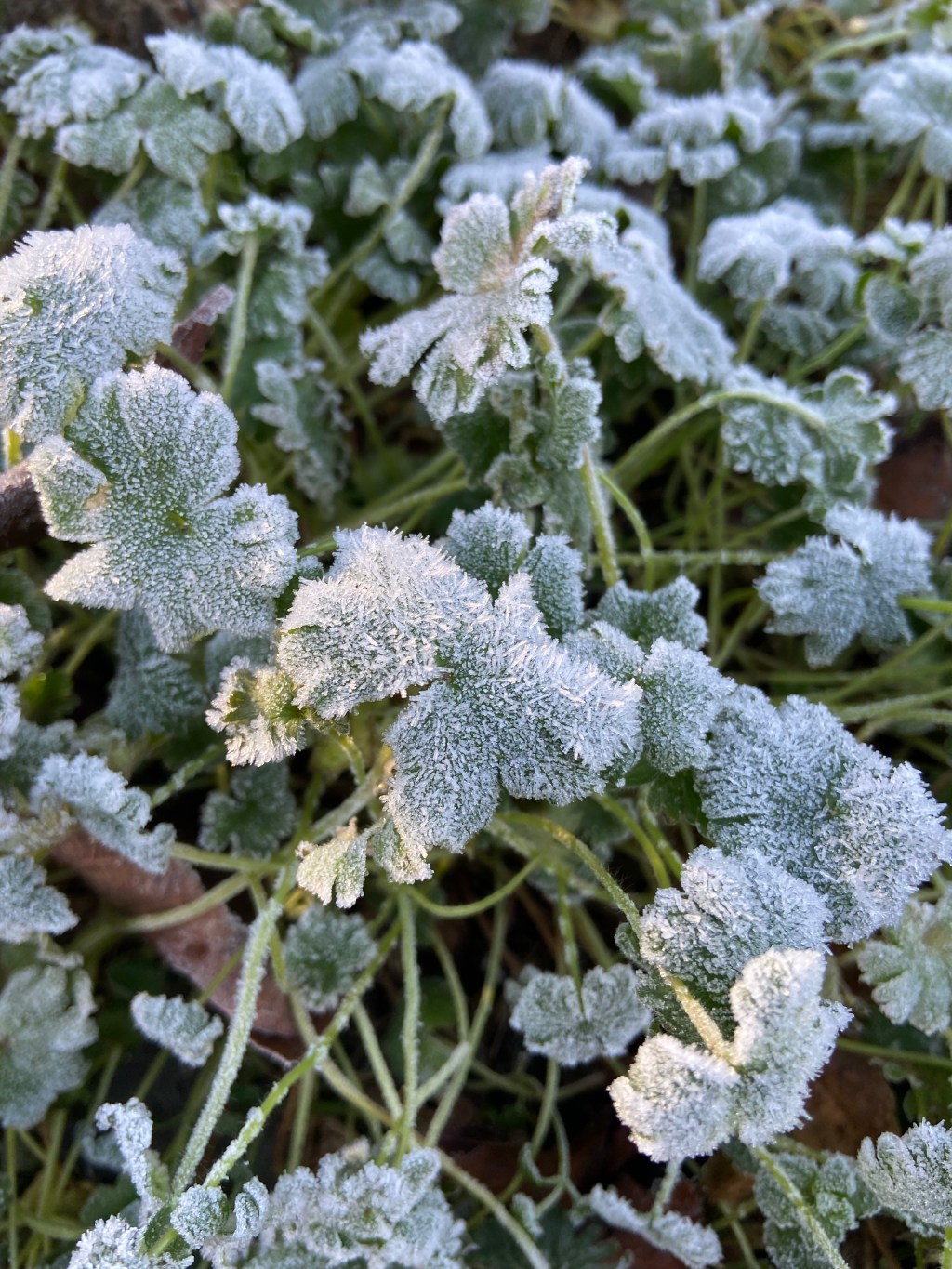 Morning routines: why is it so hard to get&nbsp;up