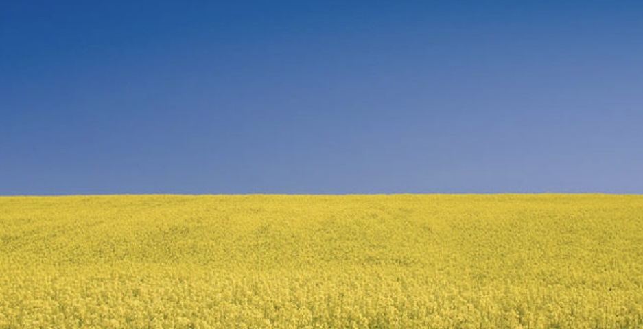 My thoughts are with the Ukraine&nbsp;🇺🇦