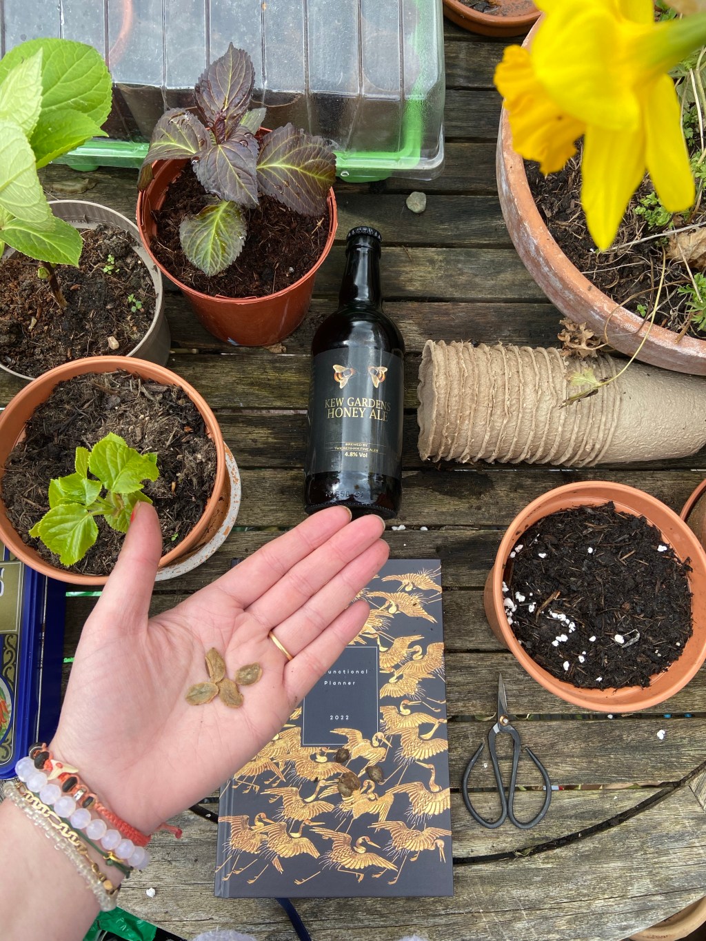 I learned that social media is the biggest trap