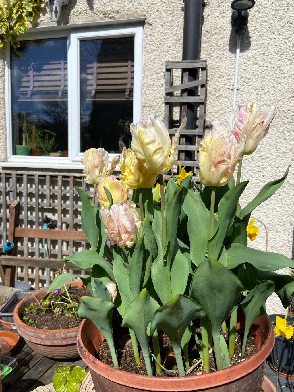 12. Benefits of&nbsp;gardening