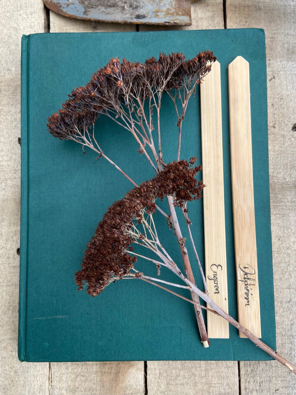 A little cancer update