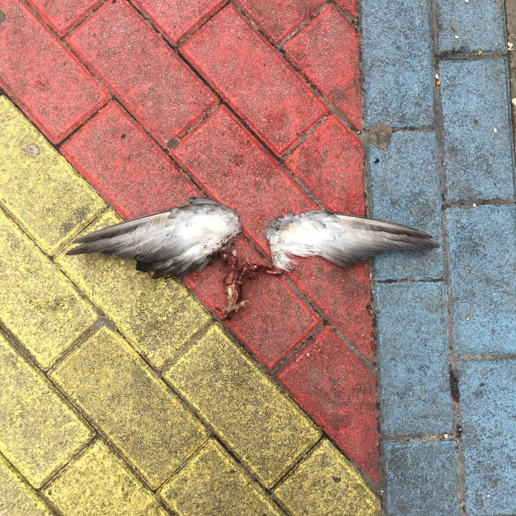 How to make a house a&nbsp;home