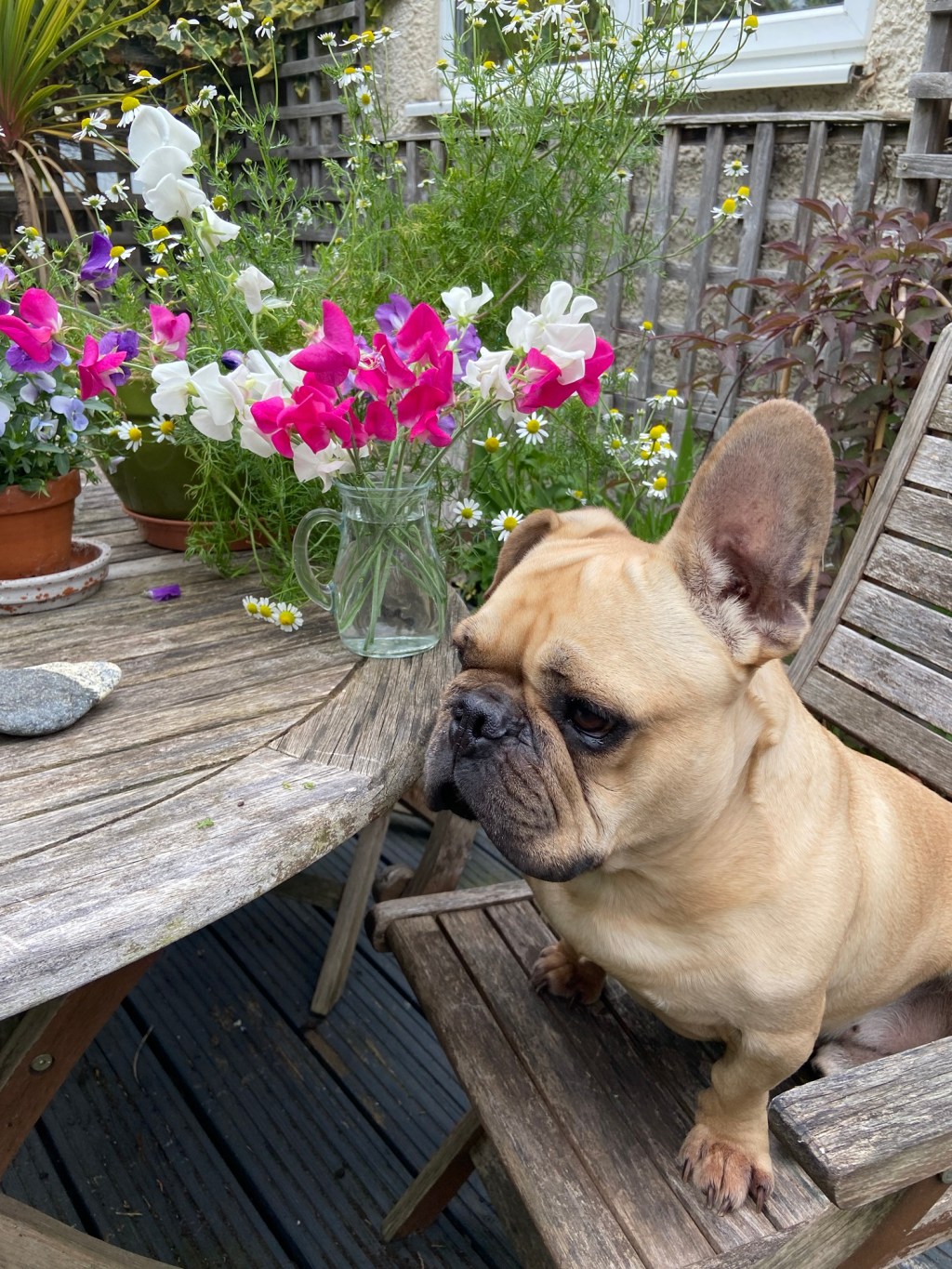 Working from home is&nbsp;wonderful