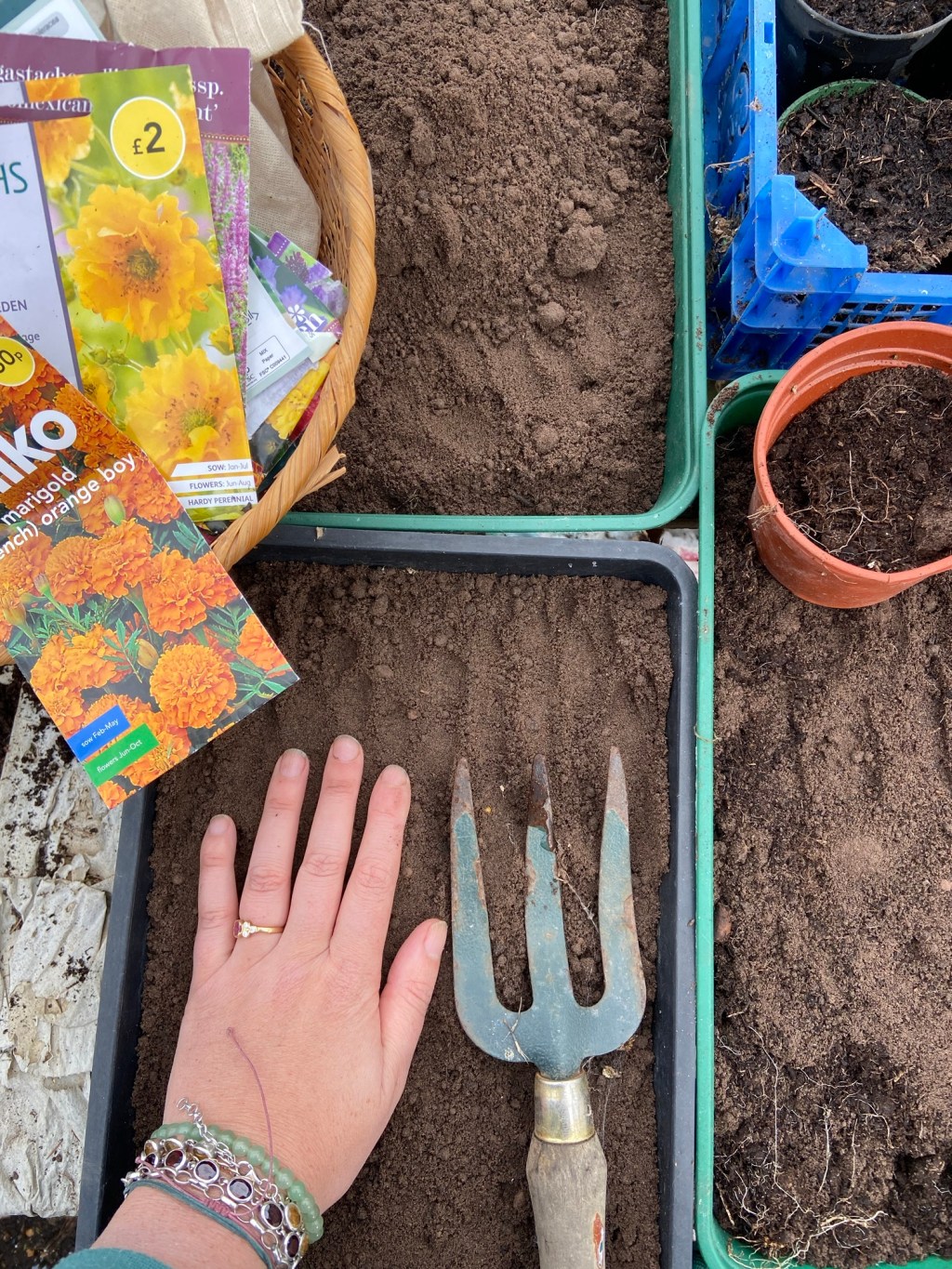 March is sowing time: day 6 no social&nbsp;media