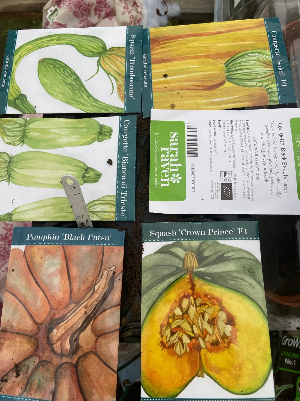 Moment in time: sowing&nbsp;seeds