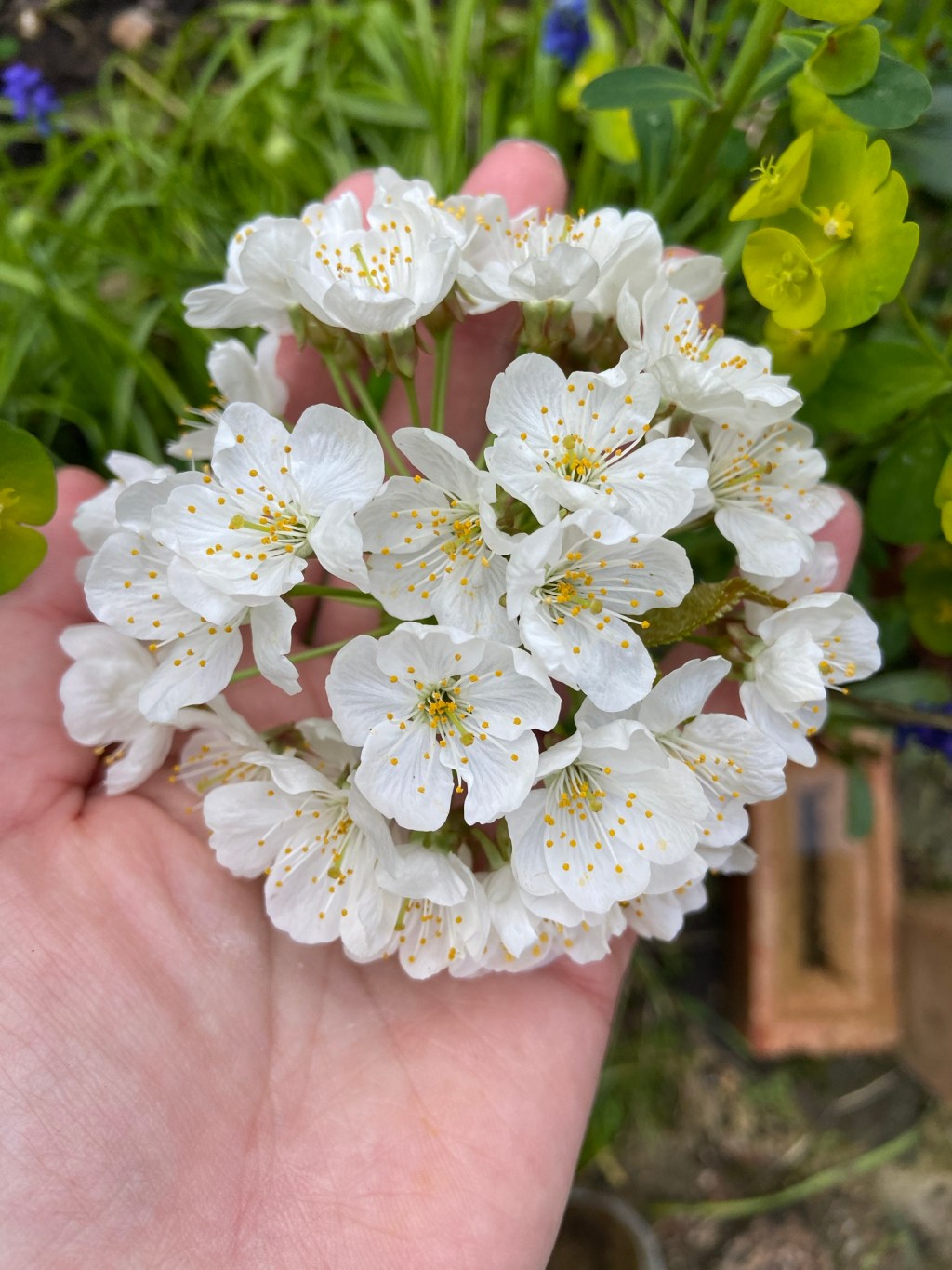 Not quite an early&nbsp;bird