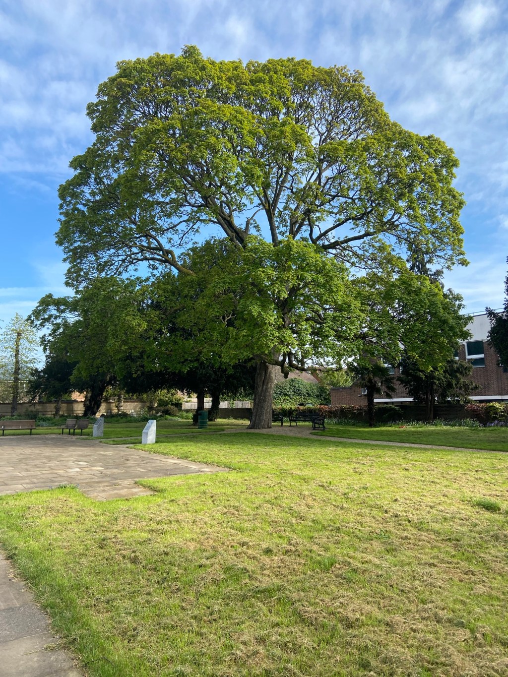 Not a morning person