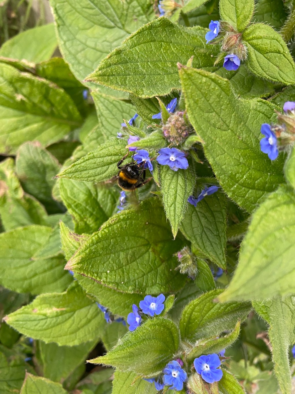 A stitch in time saves&nbsp;nine