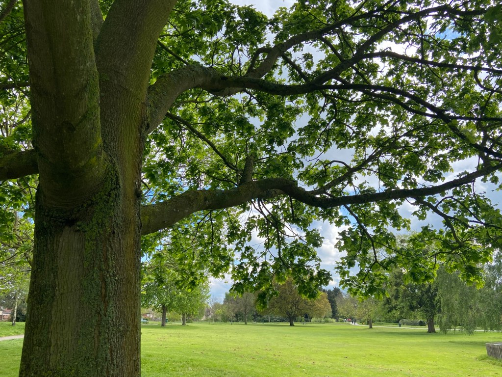 Aren’t we all a little lost?