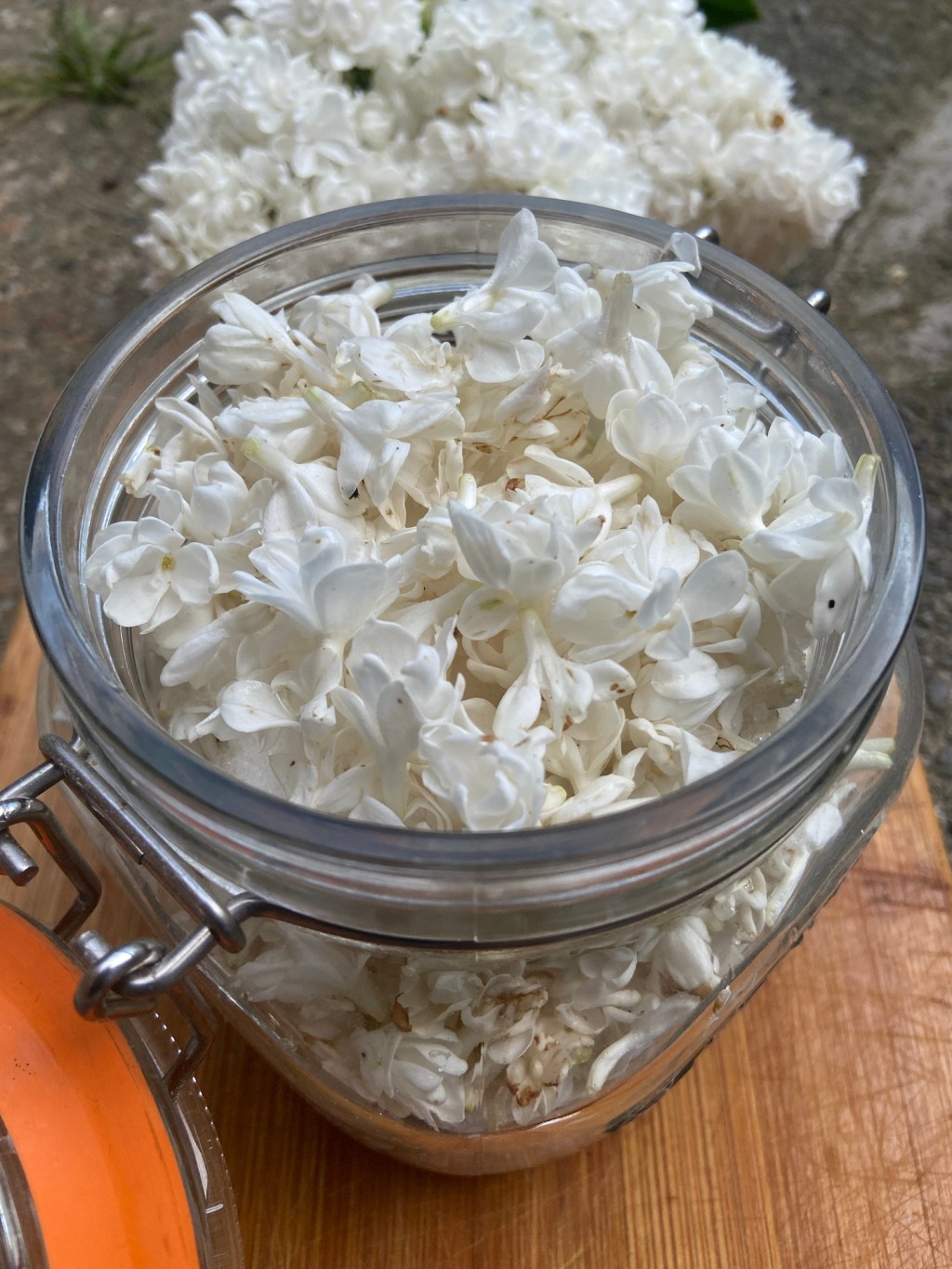 Renovation has begun…slowly