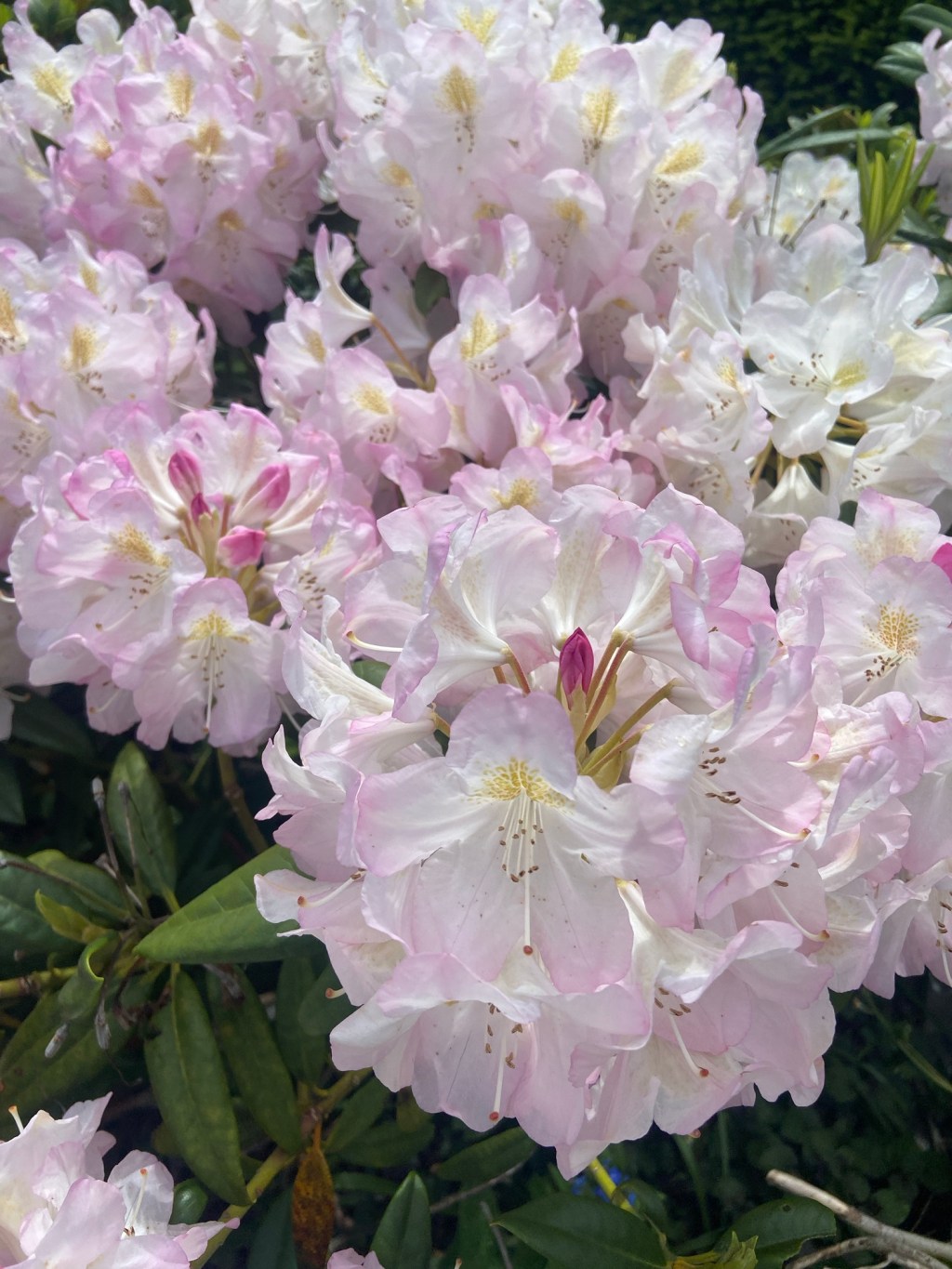 A wonderful start to a Sunday