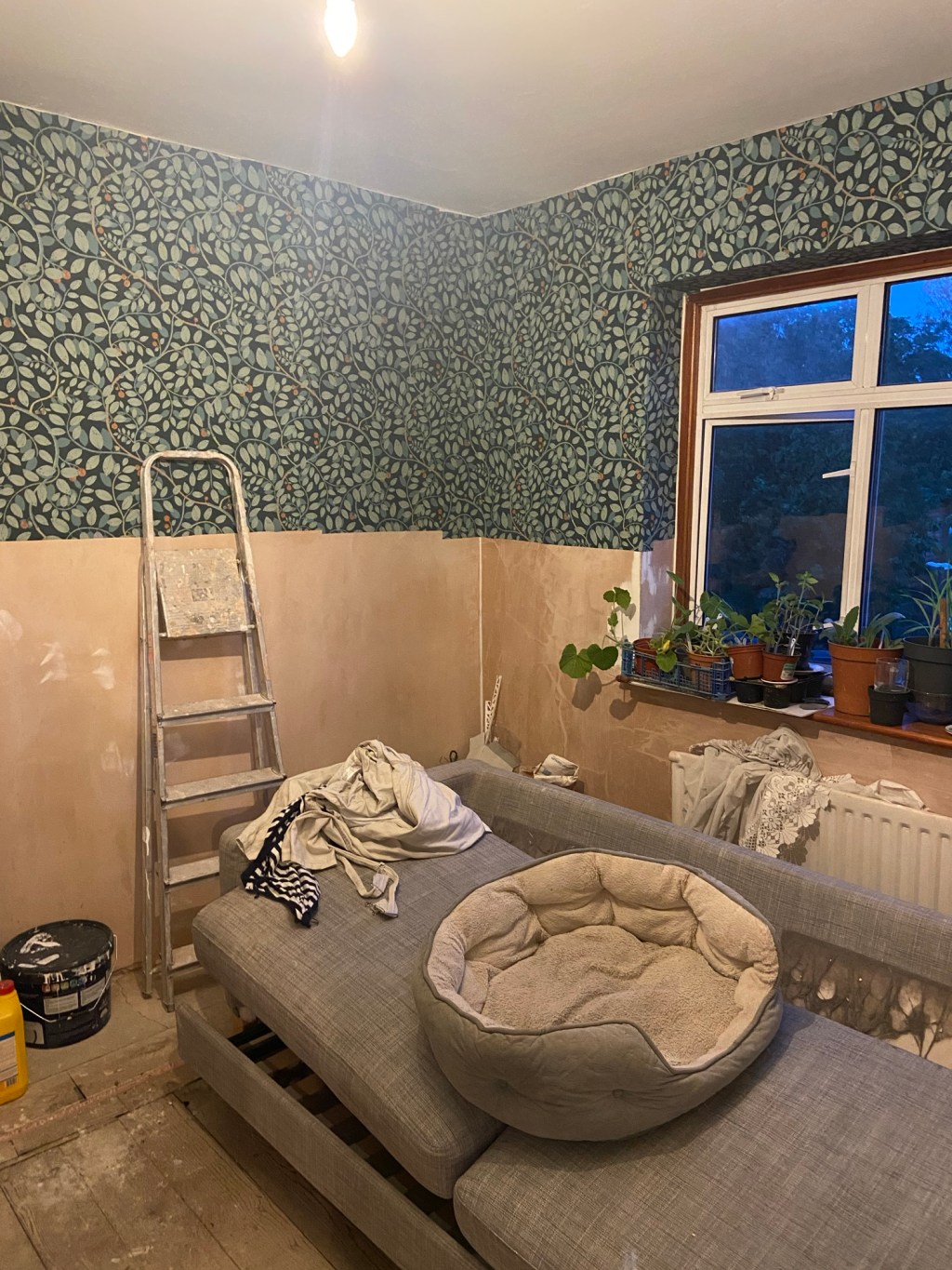 Home renovation update