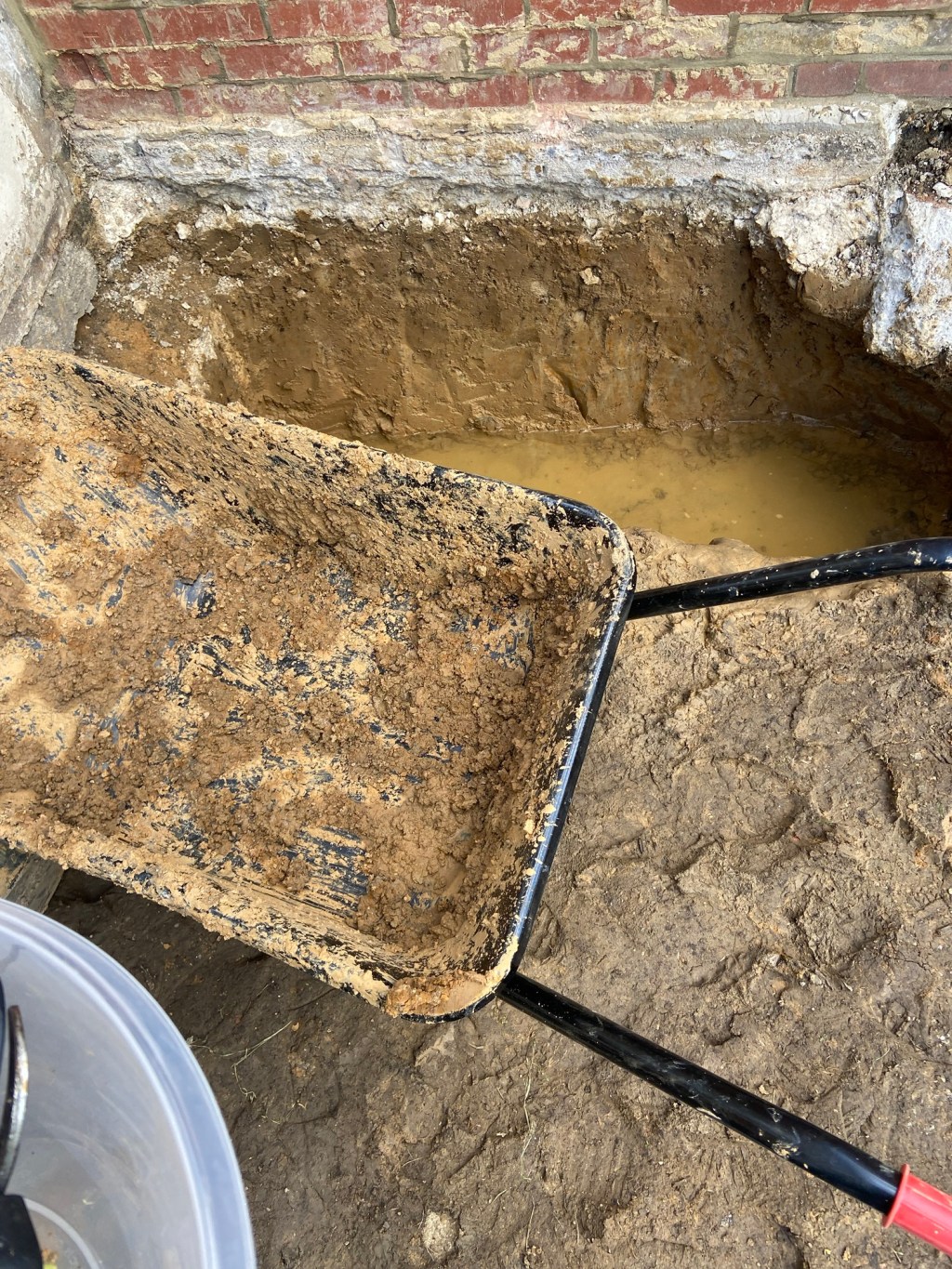 Trust and communication