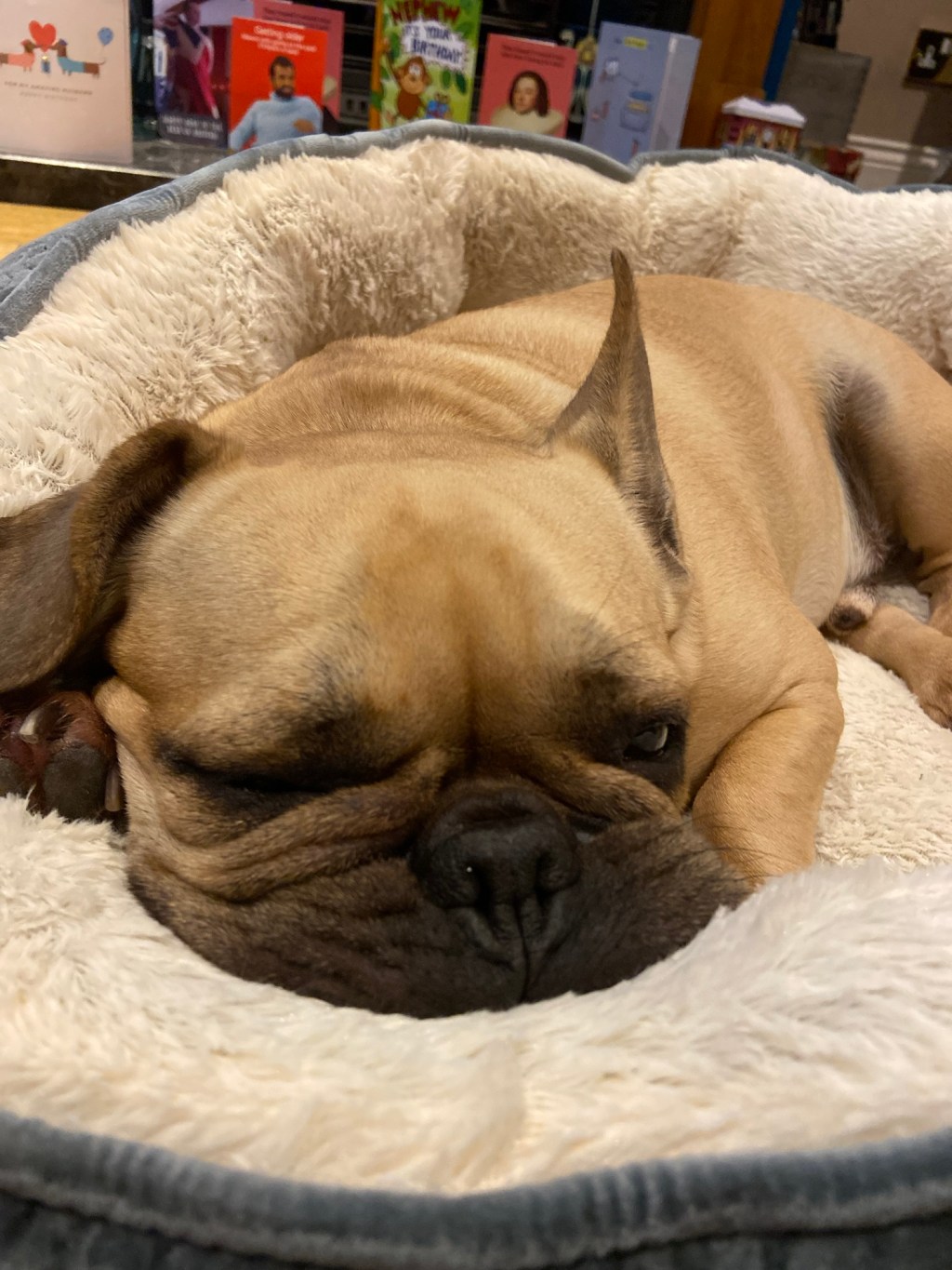 Sleeping is my happy place