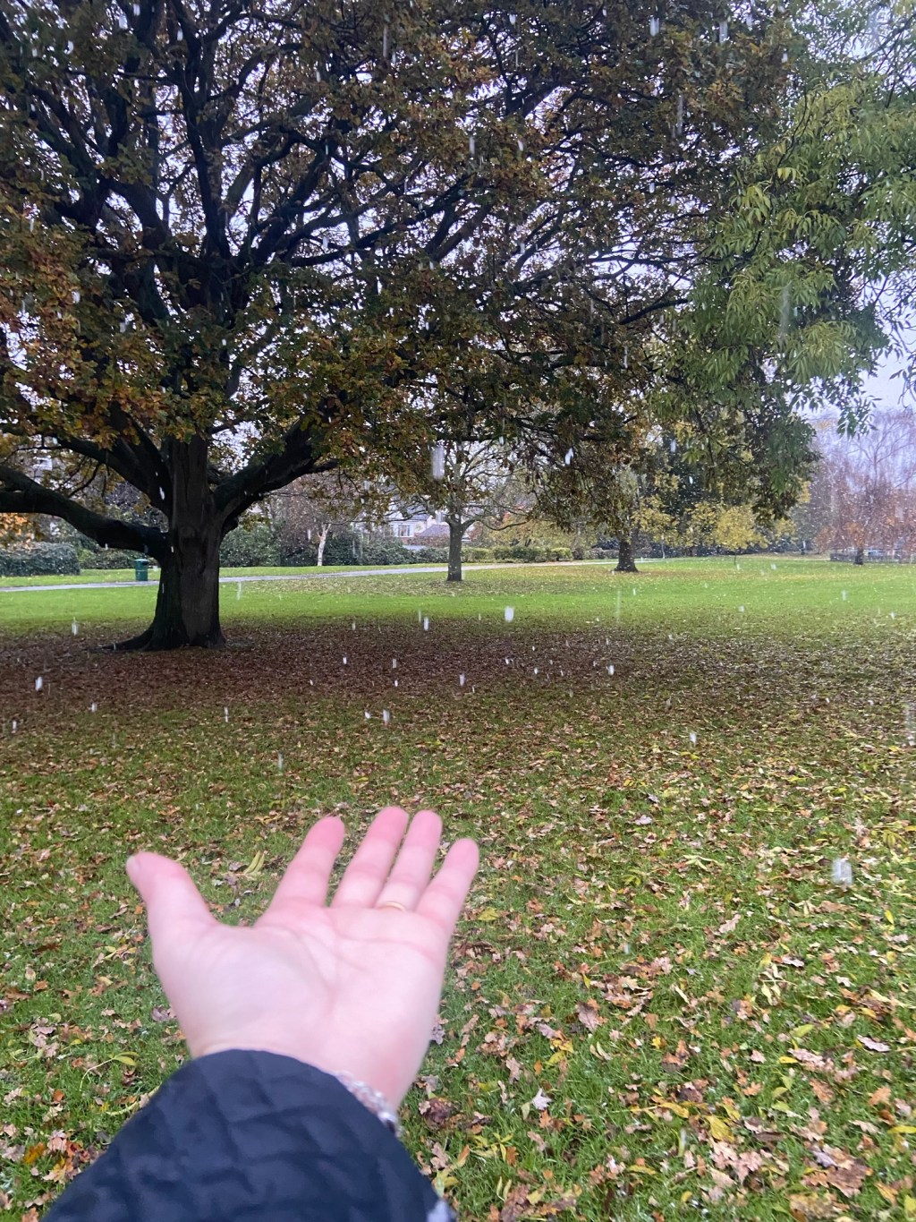 Gardening is such mindful&nbsp;therapy